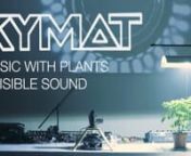 MUSIC WITH PLANTS &amp; VISIBLE SOUND * Plants are our friends. Embrace it!nnKYMAT LOPHOPHORA feat. Carsten Meyer - from new album