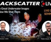 Join Robin Dodd and Backscatter CEO Jim Decker as they take a deep dive into underwater photography. Jim will use five images to demonstrate how technique, camera settings, equipment and animal behavior all have to come together to create that perfect shot. The images will be from compact, mirrorless, and DSLR cameras and will include both wide angle and macro shots. There will be something for every underwater shooter in this session! A live Q&amp;A will follow the images.nnTopic Timecode Links