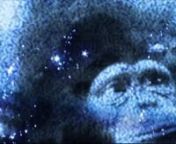 Motion design and User interface for the french edition DVD.nnClient : BuenaVistanAgency : Transatlantic videonProject Manager : Candice Deboutnn—nHam, né en août 1956 au Cameroun et mort le 19 janvier 1983, également connu sous le nom de « Ham le chimpanzé », est le premier chimpanzé à être allé dans l&#39;espace. Ham est l&#39;acronyme du laboratoire qui l&#39;a entraîné pour son vol historique, le Holloman Aerospace Medical Center (« centre de médecine aérospatiale Holloman »), situé s