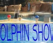 De herwerkte versie van Dolphin ShownnCredits:nGeluiden: freesoundeffects.comnMuziek: Saat Samundar – Hindi songnStem: D. Willems