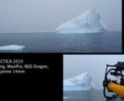 Red Dragon X + Canon 14mm Prim + Ready Rig + Freefly Movi Pro + Zodiac + Iceberg!!