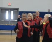 Created by in 2008 by NOBA with lead and founding instructor Aline Neves de Souza at the request of NORD to fill the void of programming for senior citizens post Katrina, the NOBA Senior Dance Fitness Program annually reaches more than 550 participants ages 55+ with free, skill-based dance/fitness classes at three locations in Orleans Parish. nnProgram Overview:nSix classes twice-weekly for 40+ weeks at three locations: one hour of stretching and balance exercises, followed by one hour of cardio