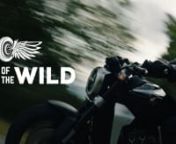 Call of the Wild | Godspeed from desert scenes and landscapes