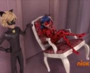Ladybug and Chat Noir&#39;s partnership, to the song