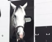 Von Oktober 2019 bis März findet bei Hetzel Horses die 6. Mera Winter-Turnierserie statt. Für einen Teaser zur Serie hat das Filmteam der Bremer Winkler Studios auf Hetzels Reitsportanlage am Niederrhein vorbeigeschaut und glücklich Pferde und Reiter mit der Kamera eingefangen.