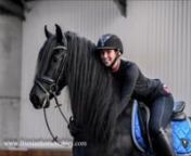Friesian Horse Stables