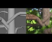 Low poly animals.nBird Jay. Squirrel. Ant. RatnCharacter animation in maya