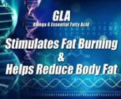 Lean Body Lean Lipids - Labrada Nutrition - Fat Burner - Fish OilnnFind Out More at http://www.labrada.com/store/leanbodylipid.htmlnnThink of Lean Lipid Fat Burner as a