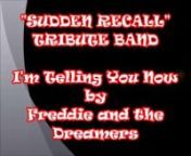 http://www.suddenrecall.com/nSUDDEN RECALL TRIBUTE BAND &#124; I&#39;m Telling You Now &#124; Freddie and the DreamersnRecorded LIVE at The Stage in Bonita Springs Florida 12-11-2013nSUDDEN RECALL TRIBUTE BAND.n