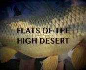 Poling around the flats of the high desert in search of the elusive Golden Bonefish. Take a ride with the GDO crew on a unique fly fishing journey aboard saltwater flats fishing style poling skiffs, spot fishing for mudding Carp. This video is Jackie Treehorn Approved!