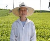 Ayumi Kinezuka explains NaturaliTea, her family&#39;s 30-year tea business. Their all-natural farm is in Shizuoka, Japan.nnThe Kinezuka Family of NaturaliTea are the growers of:nMidori SenchanHandpicked Midori ShinchanHoujicha NaturalnGenmaicha NaturalnKukicha Natural