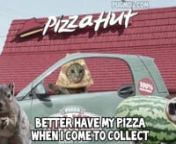 STITCHES BRICK IN YO FACE PARODY, THE PIZZACAT PIZZA IN YO FACEnnSTITCHES BRICK IN YO FACE SONG IS HARD!nPIZZACAT HAD TO GO IN THE BOOTH FOR THIS REMIXnMUCH RESPECT PIZZA SALUTE !!!!!n@THE_pizzacat insta and twitnpugmob.com