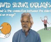 David Suzuki walks into an animated world, and talks about two things you wouldn&#39;t think would be connected. Guess what? They affect you too.nnMore information: www.davidsuzuki.orgnn-nVoVo Productions 2014nwww.vovoproductions.com