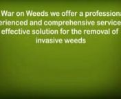 At War On Weeds we provide a specialist service in control, eradication and removal of Japanese Knotweed along with all other invasive weed species.nnhttp://www.waronweeds.co.uk/
