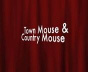 Town Mouse and Country Mouse 2 from town mouse and country mouse