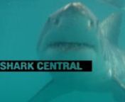 SHARK CENTRAL is the story of the people of False Bay and how they have reacted to these horrific attacks, and the increased threat of being attacked by The Great White Shark. Through interviews with the victims, their friends, families and the emergency services, they recount the horrific events that have changed many lives forever.nShark Central also look at how these events have affected the locals, from how they have had to re evaluate how they use the beach and the coastline, for many it is