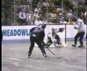 Shootingnhttp://www.rollerhockey411.com/ SHOOTING &amp; STICKHANDLING starring Bobby Hull Jr. with special insights from Bobby Hull Sr. They will teach you all you need to know to play like the Pros. Skills you will master include: The Powerful Slap Shot, One-Timers, The Wrist Shot, The Flip Pass, Power Play, The Backhand Shot, Where and When to Shoot, Player Positions, Stickhandling, &amp; Much, Much More.nWith Roller Hockey Magazine’s Inline Hockey instructional video series, you will learn