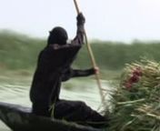 This video introduces the natural beauty, people, culture, and historic significance of the Iraqi marshes in the Iraqi southeast, between the Tigris and Euphrates rivers - a civilization of marsh Arabs dating back continuously over 5,000 years to the Sumerian people.Saddam Hussein&#39;s regime drained the marshes in 1993, but they were restored by local people after 2003, only to be threatened again by a large dam now under construction in violation of many regulations on the Tigris River in Turke