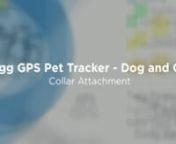 To Learn More About The Tagg GPS Pet Tracker Click Here ))) http://bit.ly/TaggGPSPet
