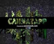 In episode 6 CannaZapp takes a closer look on the history of cannabis prohibition. The coverage starts in 2727 B.C. when China began using cannabis as a medicine. From this moment on CannaZapp guides us through a number of historical moments. The vast majority of those moments are in favour of cannabis, until 1937 when American federal laws banned it. Fortunately, a lot of people fought back.nnCannaZapp is produced by Sensi Seeds and presents video segments from past and present day alike, in or