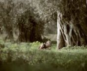 GAEA, the Greek food brand, has produced a captivating short film about the olive groves of Crete and the stories of the people who take care of them - released in tandem with a limited edition luxurious gift box. [...] http://www.yatzer.com/gaea-short-film-olive-oilnnShort Film CreditsnDirection: Theo PapadoulakisnScreenplay: Panagiotis PapoutsakisnDoP: Kostas Nikolopoulosu2028nProduction Manager: Dimitris Xenakis nSound Design: Anastasis Efentakisu2028nCasting Director: Archontissa Kokotsakiu2
