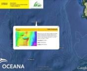 The seamounts of the Ibiza Canal are virtually unexplored. Until very recently only geological data existed of these elevations, which are distributed between the Balearic Islands and the Valencian coast. Oceana captured the first images of life on these seamounts, and contributed data to the Spanish Inventory of Natural Heritage and Biodiversity, in collaboration with Fundación Biodiversidad.nOceana focused primarily on two seamounts, Nao Mound and Morrot de Formentera. In the former, we found