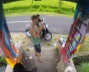 this video was taken in some rice fields colse to canggu, bali in March, 2016
