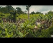 Beasts of No Nation 2015 Trailer from beasts of no nation