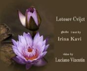 Tnx to Irina Kavi for beautiful lirics and voice .Video colage by Luciano Vizentin ! Peace &amp; love1