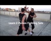 Online Training - Choy Li Fut Kung Fu Beginner Course