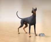 I used a free doberman rig by Ram Krish:nhttp://www.creativecrash.com/maya/downloads/character-rigs/c/dogn(though I had to modify it a little bit with a few extra controls and a face rig)nI also used some stock voice from audiojungle.net to draw doggie&#39;s attention.