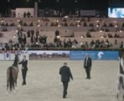 From 27th to 29th December 2015 took place in Paris – Villepinte, Purebred Arabian Horse World Championship (35th edition) along side « Horse Show ». A global event, under Patronage of His Majesty Mohammed VI, King of Morocco at it’s 44th edition. With more than 140,000 visitors, the Exhibition has established itself as the sector’s benchmark event. nIn this privileged and exclusive scenario with 125 VIPS tables, Caballus Excellence http://caballusexcellenceworld.com has organized a mult