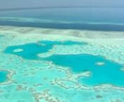 La Gran Barrera de Coral (The Great Barrier Reef) se extiende a lo largo de 2.600 kilómetros, frente al estado de Queensland, al noreste de Australia. Puede ser distinguido desde el espacio, siendo el mayor arrecife de coral del mundo. Dicen que la Gran Barrera de Coral australiana es el equivalente oceánico a la selva amazónica, de hecho, muchos la consideran el ser vivo más grande del planeta.nnCon una extensión de casi 35 millones de hectáreas, en la que se pueden encontrar hasta 70 há