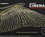 cmiVFX Releases Advanced Feathers Systems For Cinema 4DnHigh Definition Training Videos for the Visual Effects IndustrynnPrinceton, NJ (April 14th, 2016) Exciting last minute video release by cmiVFX just in time for NAB! The long awaited Advanced Feather Systems video is now available and will not disappoint! Take control over exact feather placements on wings and body, multiple lengths and directions, dynamic controls and geometrical substitutions for non-hair based mechanical wings. This might