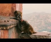 Highlights of our travels around India and Nepal.nnShot with a Sony A6000.nMusic: Little Dragon - Ritual Union (Maya Jane Coles Remix)nnhttps://www.instagram.com/halfstar/nhttps://www.instagram.com/bruggee/