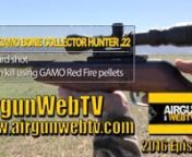 AirgunWebTV 2016 Episode 5 - Gamo Break barrels getting the job done plinking AND hunting!ntnTitle:nGamo Breakbarrels getting the job done plinking AND hunting!nPlease scroll down for links to all the products seen in this episode and to also support our sponsors.It’s a great time to be an airgunner!nnDid you know that Gamo sells more breakbarrel rifles than any other airgun company in the USA?Their new line up for 2016 certainly shows why that’s the case.In this episode we look at the