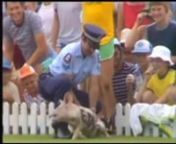 Cricket---The-Most-Rare-and-Funny-Moments-in-Cricket-History from cricket funny