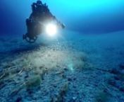 Filmed in Giannutri island,Punta Scaletta, 6th September 2015nnhttps://goo.gl/maps/wbgJuYnAwfynnGiannutri is the most southerly Tuscan island and is part of Arcipelago Toscano National Park established in 1996. The marine area surrounding the island is organized in a strict nature reserve and a protected area where human activities (scuba diving among them) are strictly regulated. Unfortunately it is very common to observe large abandoned fishing nets while diving and despite being a protected