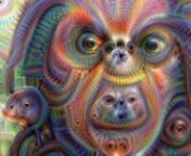 http://www.memo.tv/works/journey-through-the-layers-of-the-mind-2015/nnI know everybody hates #Deepdream, but I really love it. However, it’s not the aesthetics that I love, but the poetry of what’s happening inside the algorithm.nnAn artificial neural network which has been previously trained to recognise images from over 20,000 categories is now presented with new images that it doesn’t recognise, such as a video of my face. The #Deepdream algorithm runs this network backwards to generat