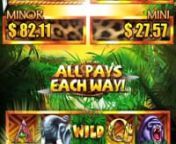 The Monkey Feature from the Tarzan slot machine.Insert Johnny Weissmuller yell here _________.