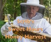 The first honey harvest from a colony that began in 2014 in Columbia, Maryland, USA. One million, five-hundred thousand. That&#39;s the number of flower visits that were required for the honeybees to produce each 12 ounce / 340 gram jar of honey seen in this video. That&#39;s 125,000 flower visits for each ounce, 4400 visits per gram. Even more remarkably, the bees flew a combined total of more than 41,000 miles / 66,000 km to visit those flowers! (Source: National Honey Board http://www.honey.com/newsr