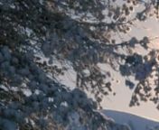Lo Ski Center Latemar (Obereggen, Pampeago, Predazzo) è annoverato tra i migliori comprensori sciistici delle Alpi facente parte del Dolomiti Superski e negli ultimi anni ha ricevuto numerosi riconoscimenti internazionali. Tracciati per principianti ed esperti si snodano fra boschi, panorami indimenticabili e montagne uniche al mondo: le Dolomiti - Patrimonio Unesco dell’Umanità. Gli impianti di risalita, di ultima generazione, consentono di raggiungere comodamente le piste preparate quotidi