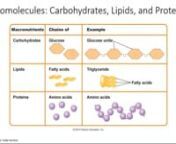 Nomenclature and classification, structure and chemical properties of carbohydrates monosaccharide, disaccharides and polysaccharides (cellulose, starch, fructans, galactans, hemi-cellulose, pectic substances, carageenan); and complex carbohydrates; amino sugars, proteoglycans and glycoproteins. Difference between reducing and non- reducing sugar, epimers, anomers, isomers, hexoses, ketoses, aldose, a 1®4, a 1®6, b 1®4 linkages and color reactions to identify them. Changes in carbohydrates du