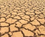 Worst drought in 30 years hits Sout Africa - BBC News from sout