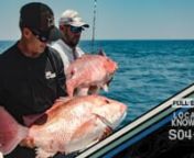 Rush and Ali head to the small town of McClellanville in the low country of South Carolina to fish with buddy Chris Morrison for some familiar bottom species.Using some Key West tactics, the guys reminisce about Chris’s years living in the Keys and his recent return home.nStarring:nRush Maltz @odyssea_sportfishing_kwnAli Hussainy @bdoalinChris MorrisonnnProduced by:nMichael TorbisconnMade Possible By: nEvinrude - https://www.evinrude.com/nSeaVee - https://www.seaveeboats.com/ nCosta Sunglass