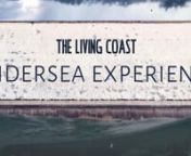 The Living Coast Undersea Experience is an interactive, educational, vr &amp; 360 film enabling users to explore the marine environment of the Beachy Head West Marine Conservation Zone (running between Brighton Marina &amp; Beachy Head, &amp; recently extended to Hastings) without getting wet! nnThis short film shows snippets from the pilot tour of the piece, into local communities across the MCZ.nnFurther information at this link - http://www.kp-projects.co.uk/the-living-coast-undersea-experien
