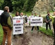 ROMANIA: STOP EXPLOATĂRII FORESTIERE ÎN PARCURILE NAȚIONALEnProtest în inima Parcului Național Domogled pentru a expune cea mai mare criză de mediu din Europa 25 de activiști au protestat în mijlocul parcului national Domogled – Valea Cernei sâmbătă 26 mai împ-otriva exploatărilor forestiere din parcurile naționale. Aceștia au desfășurat peste stâncile din zona Cernișoara 2 bannere uriașe (96 metri pătrați, respectiv 64 mp) cu mesajul ”STOP exploatărilor în par-curile