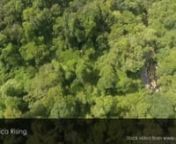4k Drone aerial footage view flying over green and lush forest and dense jungle trees - wild coast transkei eastern cape.nnThis stock video is available for licensing from major stock video agencies. For best rates, purchase and download a full resolution version without a watermark directly from Africa Rising here: https://www.africarising.tv/downloads/african-stock-video-drone-footage-tree-forest-wild-coast-transkei-south-africa-4/