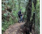 The Te Miro MTB Club is a volunteer-driven organisation that works to promote and facilitate Mountain Biking in the Te Miro and wider Waikato region.n​nTe Miro Mountain Bike Park is a growing network of trails off Waterworks Road, less than half an hour&#39;s drive from Cambridge. The 27km of trails are very popular with local mountain bike enthusiasts and one of Hamilton-Waikato&#39;s best-kept secrets.nnThe park offers a variety of Grade 2-4 singletrack that loops through a variety of terrain and ob