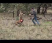 See the full story of the infamous ROO PUNCH clip that quickly went viral and was named Viral Clip of the Year 2016. Featuring the gathering of pig hunters from all over Australia who banded together with the goal of assisting terminally ill Kailem Barwick &amp; his dog Joe on a quest to catch a tonner. nOver 2 hours of content from multiple hunters, both professional and recreational along with their dogs catching tough &amp; tusky Aussie Boars in some of Australia’s most remote and hard to r